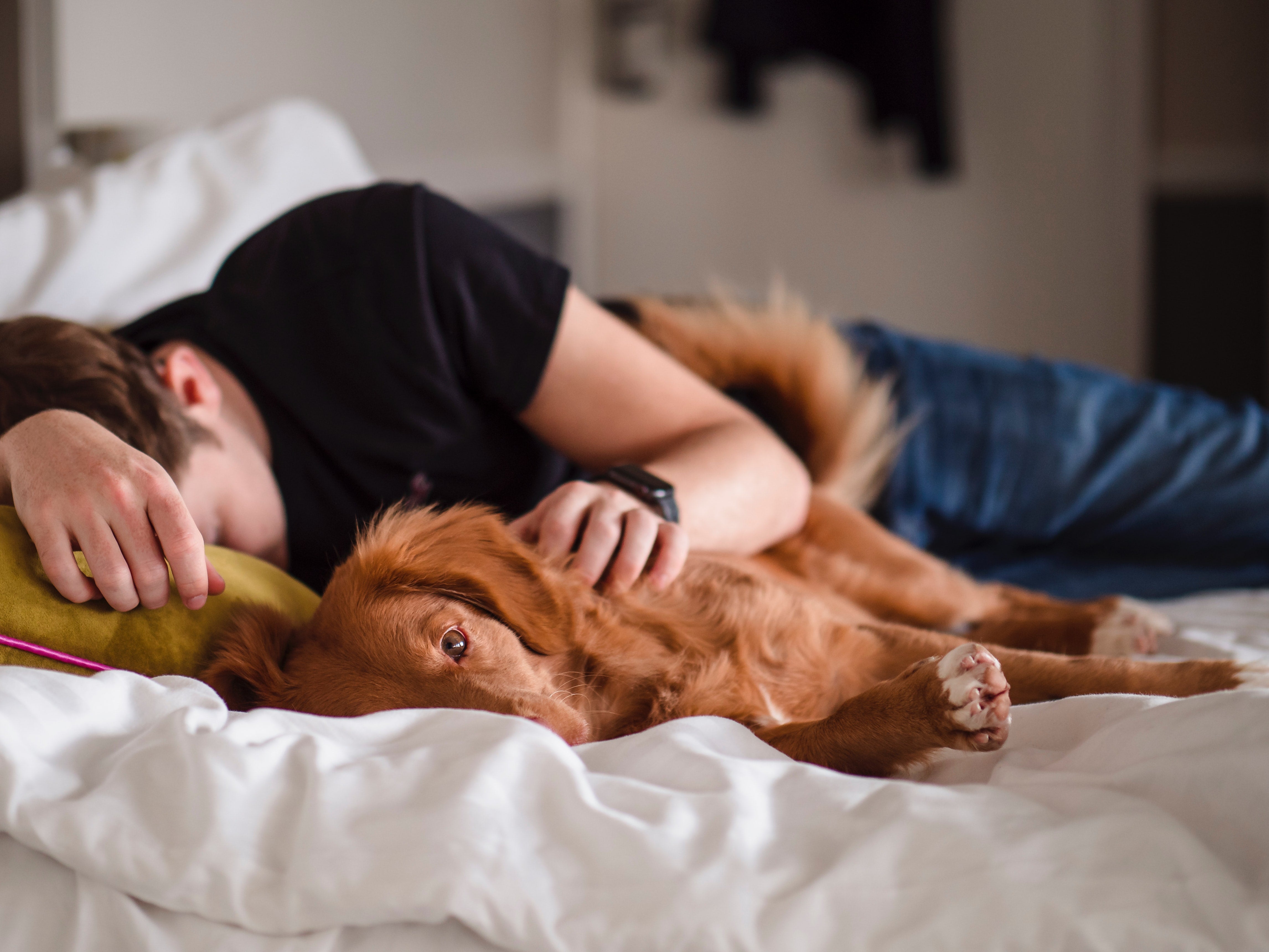 Top Vitamins for Tiredness and Lack of Energy