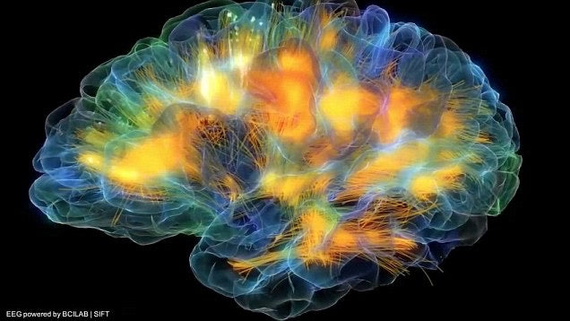 Why is My Brain So Slow?