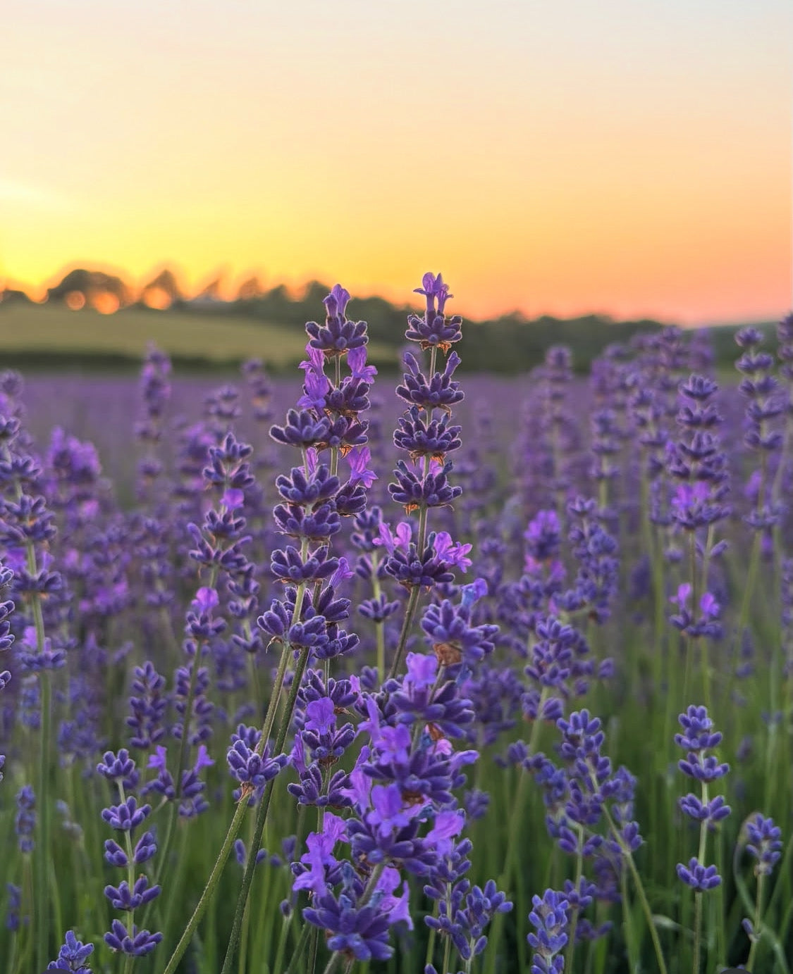 Sunshine Isn’t Always Enough: Why You Still Need Vitamins That Support Your Skin, Mood and Mind in Summer